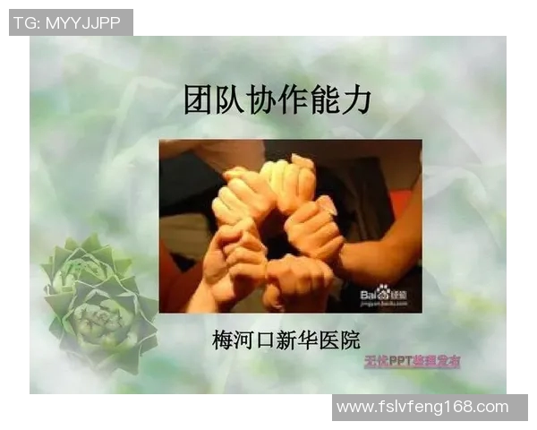 杭州乒乓球队大满贯赛精彩表现团队协作的力量与魅力分析