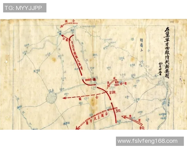 排球战术排名：南京排球队创新高