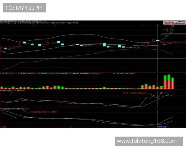 杭州足球队在钻石联赛中的强势表现与未来发展潜力分析