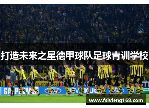 打造未来之星德甲球队足球青训学校