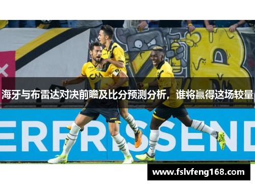 海牙与布雷达对决前瞻及比分预测分析，谁将赢得这场较量